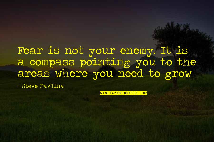 556 Area Quotes By Steve Pavlina: Fear is not your enemy. It is a