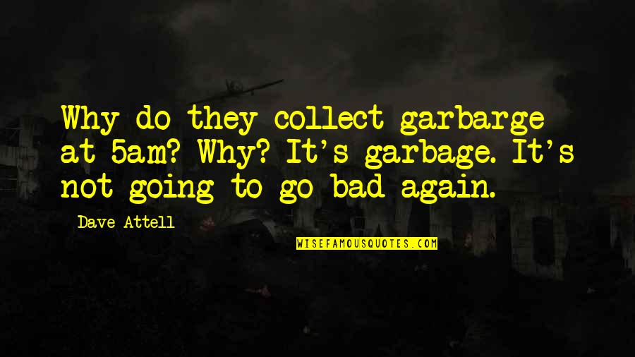 5am Quotes By Dave Attell: Why do they collect garbarge at 5am? Why?