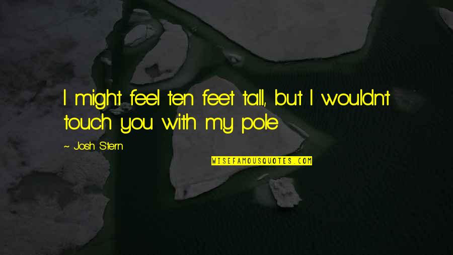 6 Feet Tall Quotes By Josh Stern: I might feel ten feet tall, but I