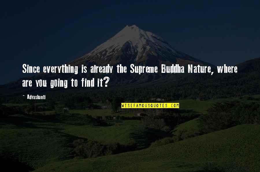 6 Months Since You Died Quotes By Adyashanti: Since everything is already the Supreme Buddha Nature,