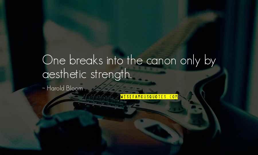6 Word Aesthetic Quotes By Harold Bloom: One breaks into the canon only by aesthetic 6 Word Aesthetic Quotes By Harold Bloom: One breaks into the canon only by aesthetic