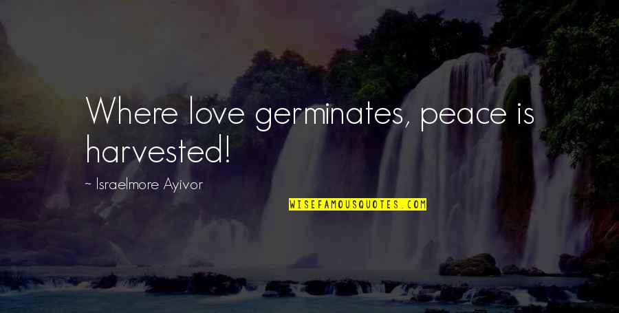 6 Words Love Quotes By Israelmore Ayivor: Where love germinates, peace is harvested!