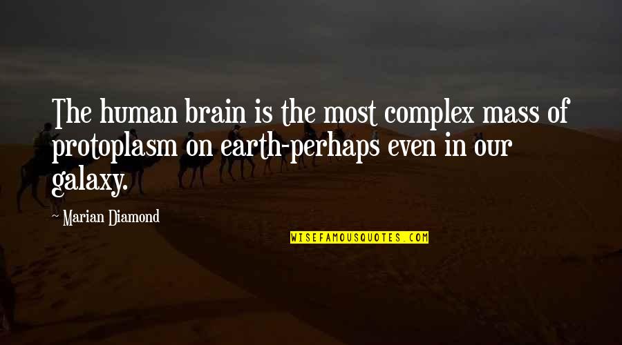 60647 Quotes By Marian Diamond: The human brain is the most complex mass 60647 Quotes By Marian Diamond: The human brain is the most complex mass