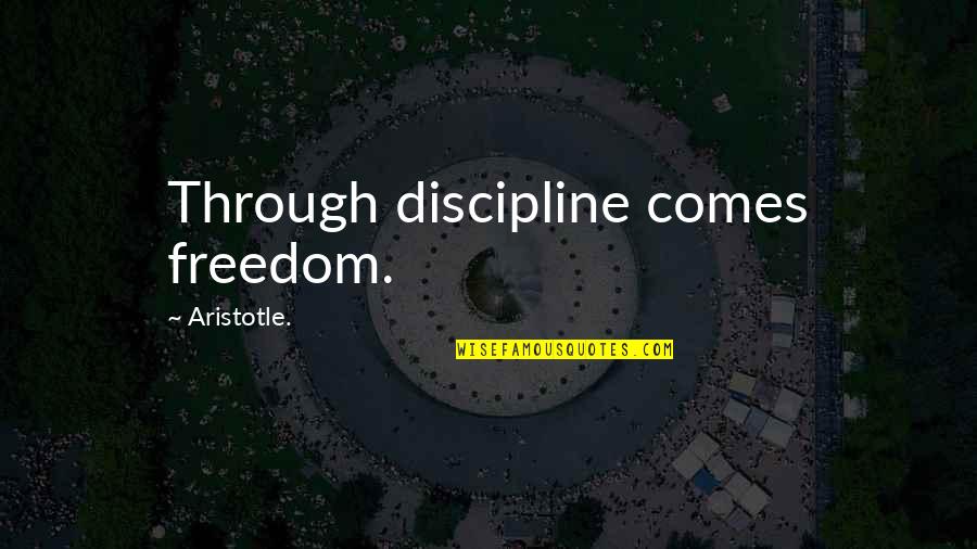6125 Quotes By Aristotle.: Through discipline comes freedom.