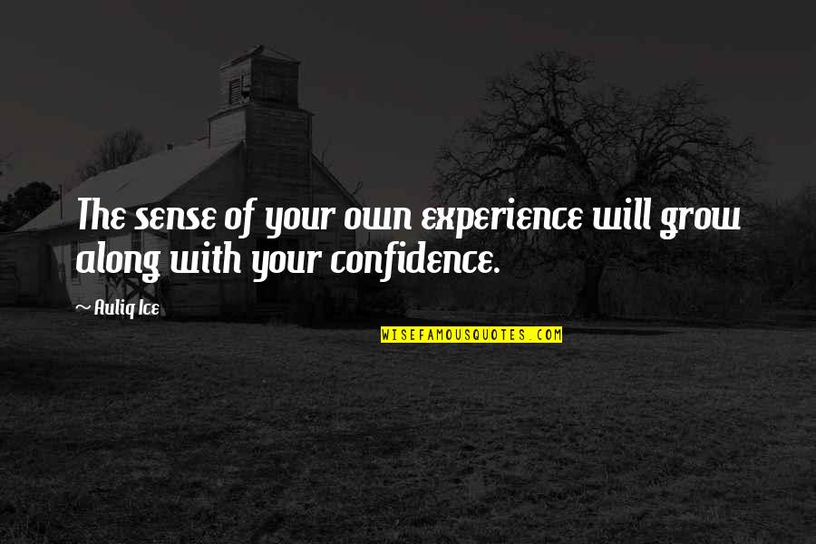 6390 Quotes By Auliq Ice: The sense of your own experience will grow