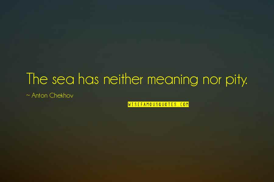 65th Birthday Quotes By Anton Chekhov: The sea has neither meaning nor pity.