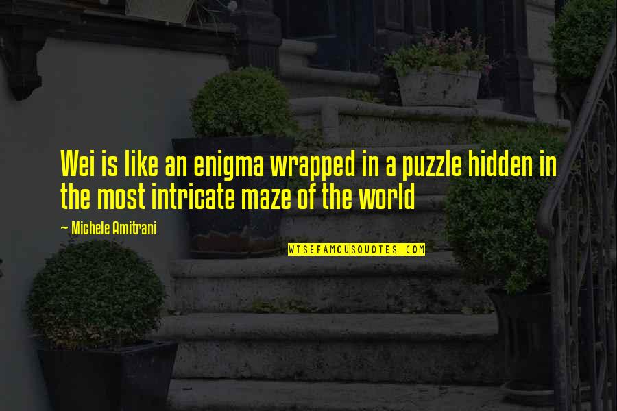 684 Area Quotes By Michele Amitrani: Wei is like an enigma wrapped in a