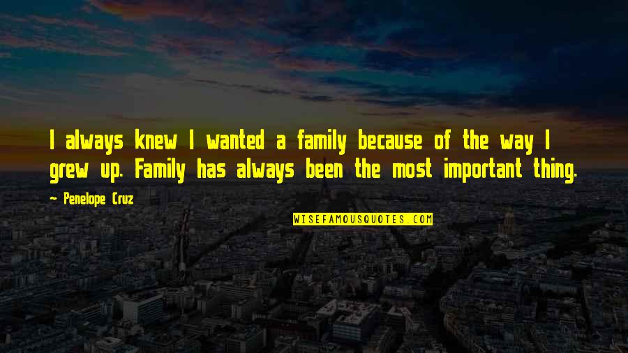 684 Area Quotes By Penelope Cruz: I always knew I wanted a family because