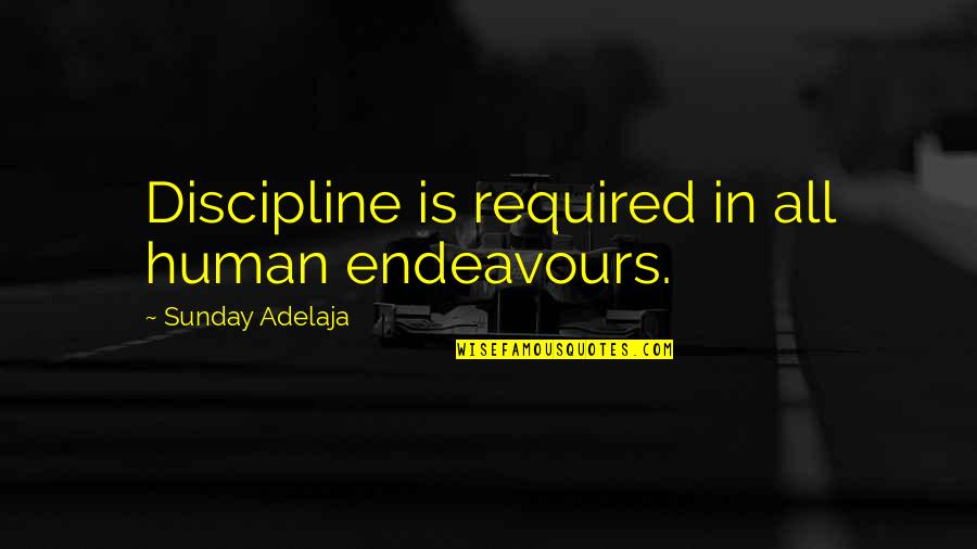 6th Graders Quotes By Sunday Adelaja: Discipline is required in all human endeavours.