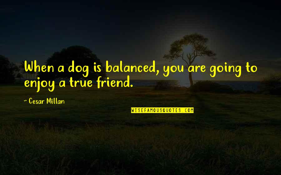 6th Work Anniversary Quotes By Cesar Millan: When a dog is balanced, you are going