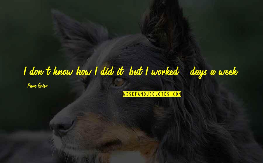 7 Days Quotes By Pam Grier: I don't know how I did it, but