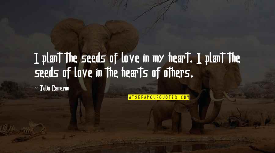 7 Seeds Quotes By Julia Cameron: I plant the seeds of love in my