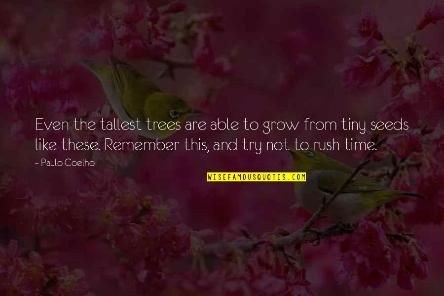 70k A Year Is How Much An Hour Quotes By Paulo Coelho: Even the tallest trees are able to grow 70k A Year Is How Much An Hour Quotes By Paulo Coelho: Even the tallest trees are able to grow