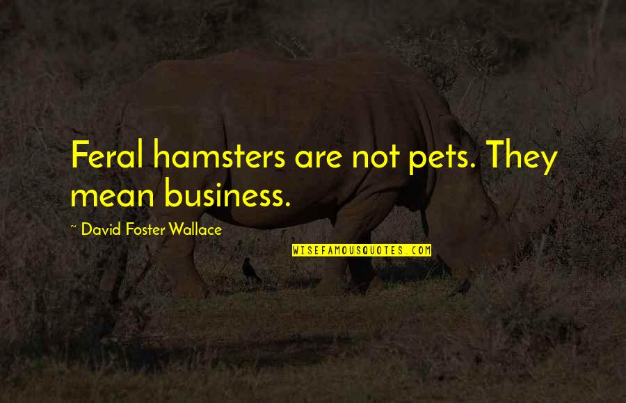 7650 Quotes By David Foster Wallace: Feral hamsters are not pets. They mean business.