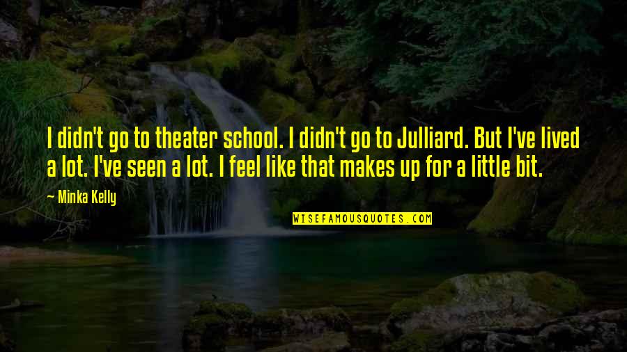 8 Bit Theater Quotes By Minka Kelly: I didn't go to theater school. I didn't