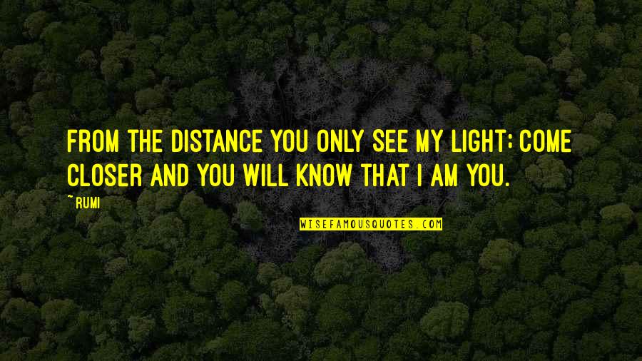 8 Inch Quotes By Rumi: From the Distance You only See My Light;