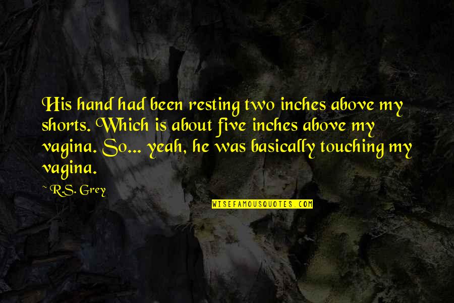 8 Inches Quotes By R.S. Grey: His hand had been resting two inches above