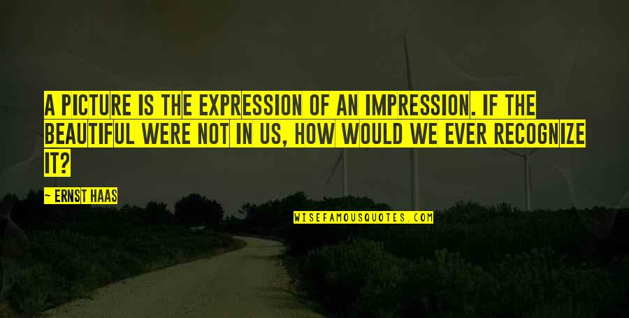 8 Mile Battle Quotes By Ernst Haas: A picture is the expression of an impression.
