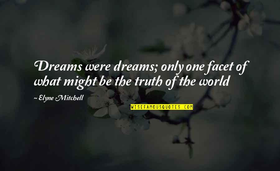 81n Va Quotes By Elyne Mitchell: Dreams were dreams; only one facet of what