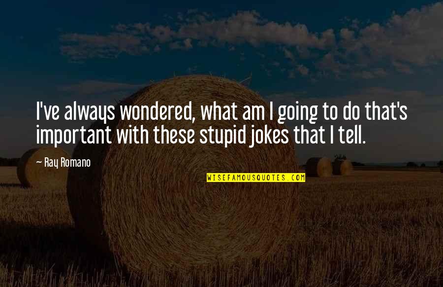 81n800h3us Quotes By Ray Romano: I've always wondered, what am I going to