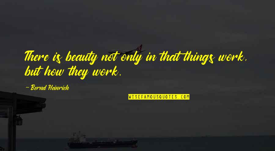 8795 Quotes By Bernd Heinrich: There is beauty not only in that things