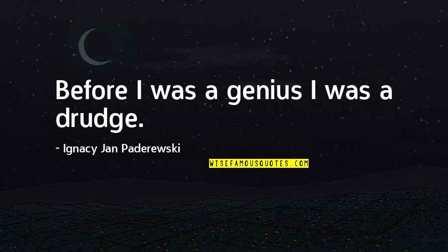 8x10 Beach Quotes By Ignacy Jan Paderewski: Before I was a genius I was a