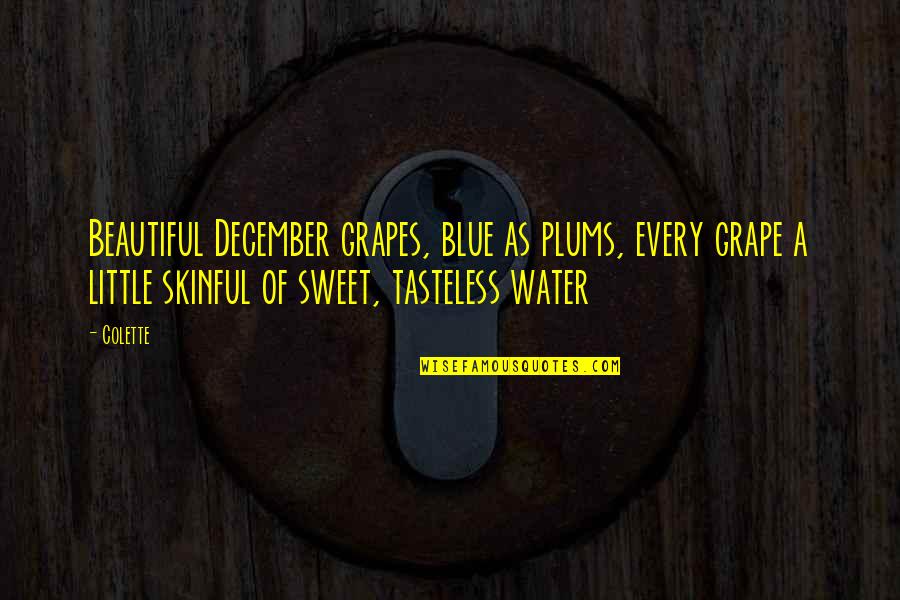 9 Months Journey Of Pregnancy Quotes By Colette: Beautiful December grapes, blue as plums, every grape 9 Months Journey Of Pregnancy Quotes By Colette: Beautiful December grapes, blue as plums, every grape