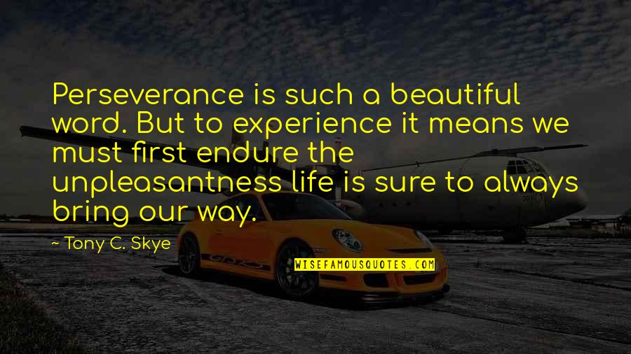 9 Word Inspirational Quotes By Tony C. Skye: Perseverance is such a beautiful word. But to