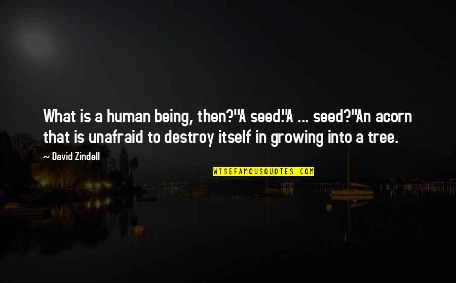 911 Heroes Quotes By David Zindell: What is a human being, then?''A seed.''A ... 911 Heroes Quotes By David Zindell: What is a human being, then?''A seed.''A ...