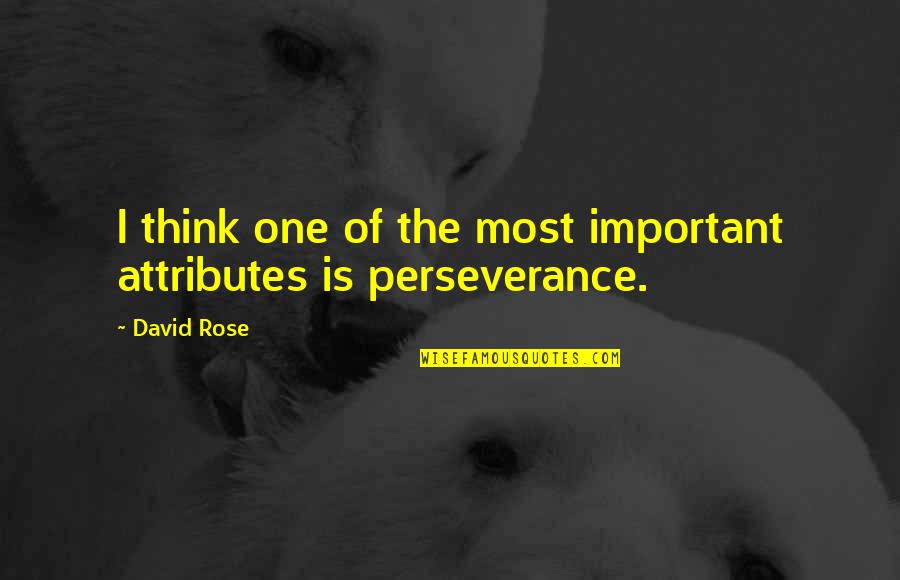 92037 Quotes By David Rose: I think one of the most important attributes