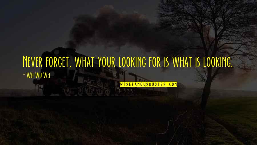 93637 Quotes By Wei Wu Wei: Never forget, what your looking for is what