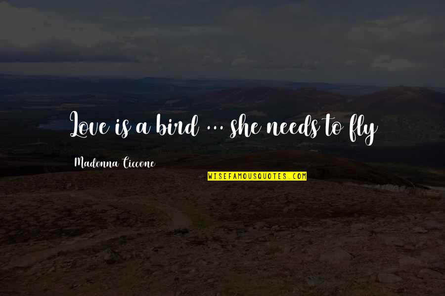 9548006768 Quotes By Madonna Ciccone: Love is a bird ... she needs to