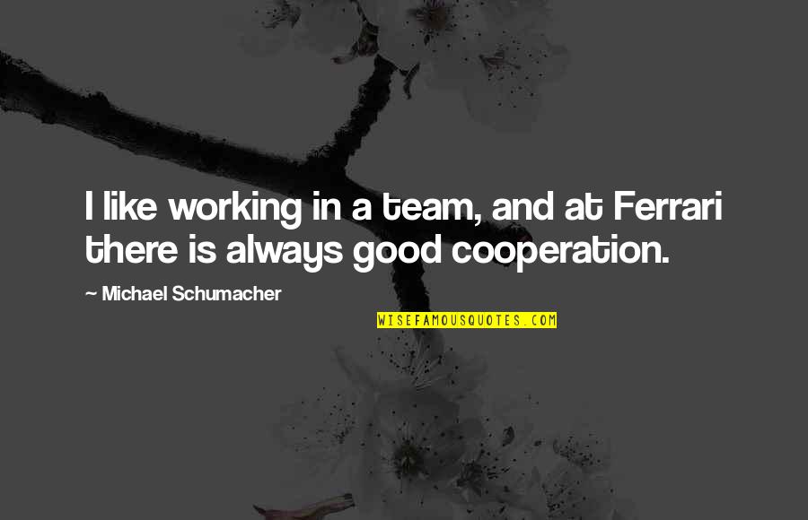 95914 Quotes By Michael Schumacher: I like working in a team, and at