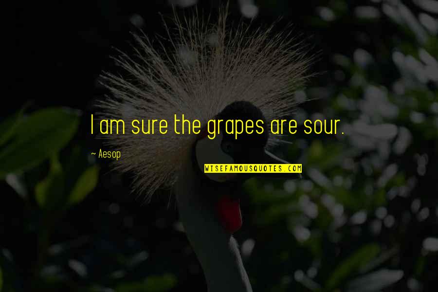 963 Area Quotes By Aesop: I am sure the grapes are sour.
