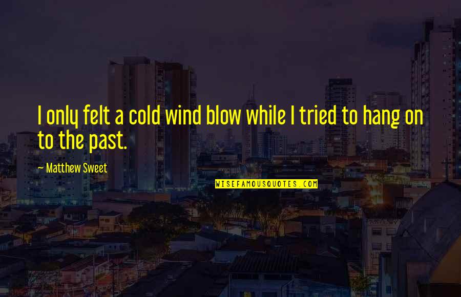 98 Mindset Quotes By Matthew Sweet: I only felt a cold wind blow while