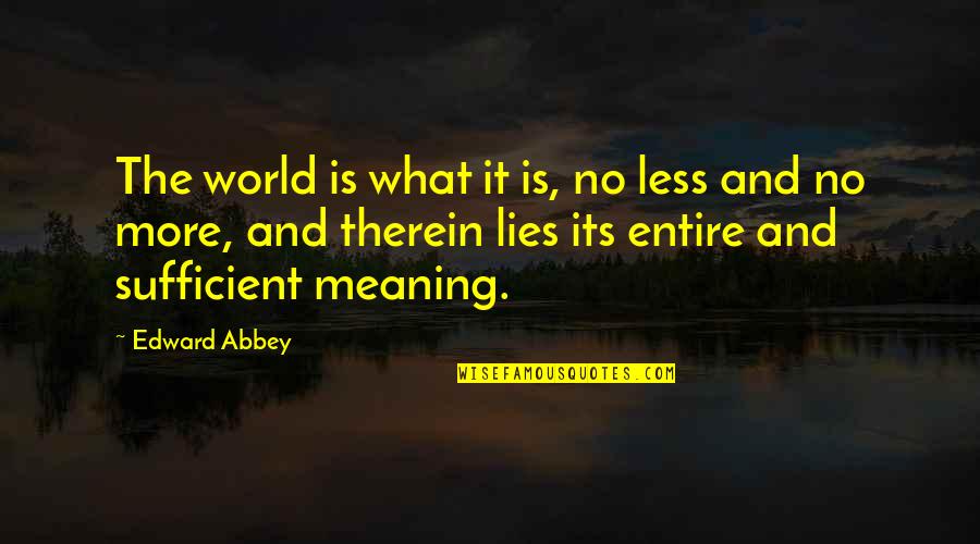 9flix Quotes By Edward Abbey: The world is what it is, no less