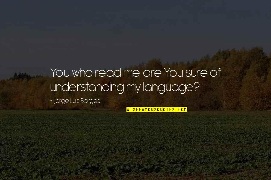 9gag Famous Quotes By Jorge Luis Borges: You who read me, are You sure of