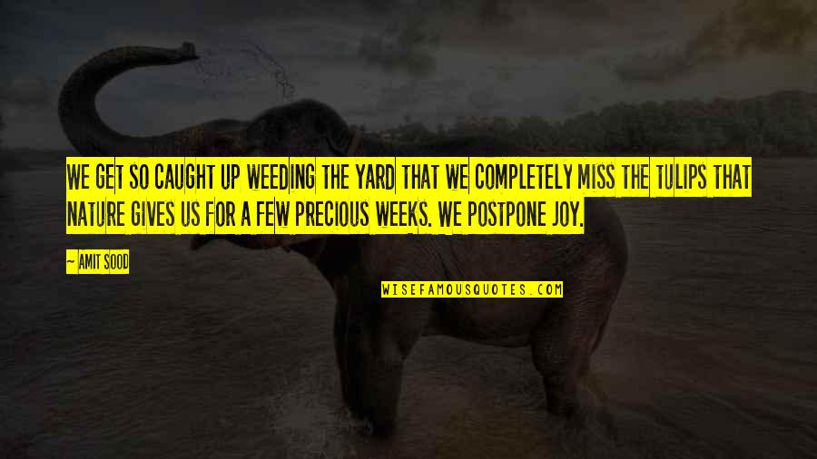9mobile Quotes By Amit Sood: We get so caught up weeding the yard 9mobile Quotes By Amit Sood: We get so caught up weeding the yard