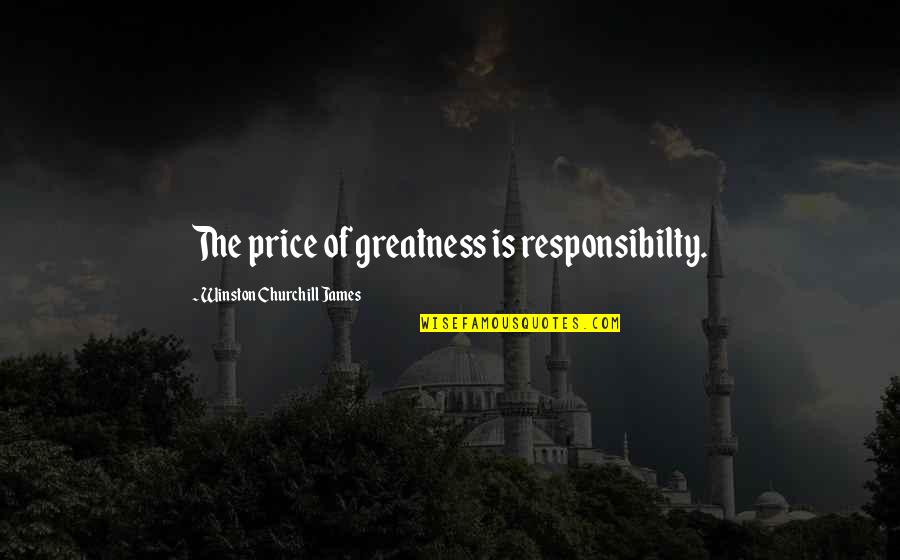 9th Engagement Anniversary Quotes By Winston Churchill James: The price of greatness is responsibilty.