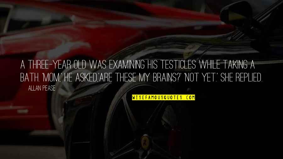 A 2 Year Old Quotes By Allan Pease: A three-year old was examining his testicles while