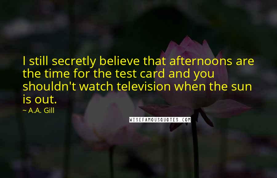 A.A. Gill quotes: I still secretly believe that afternoons are the time for the test card and you shouldn't watch television when the sun is out. A.A. Gill quotes: I still secretly believe that afternoons are the time for the test card and you shouldn't watch television when the sun is out.