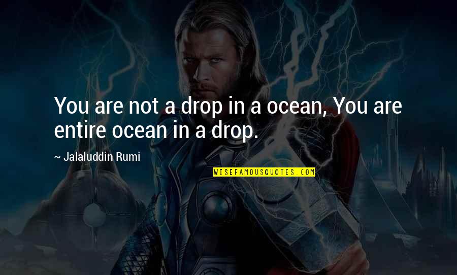 A A Inspirational Quotes By Jalaluddin Rumi: You are not a drop in a ocean,