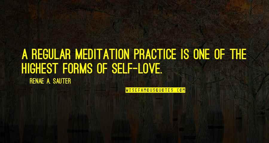 A A Inspirational Quotes By Renae A. Sauter: A regular meditation practice is one of the