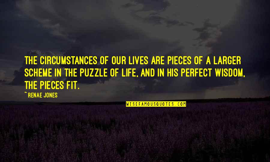 A A Inspirational Quotes By Renae Jones: The circumstances of our lives are pieces of
