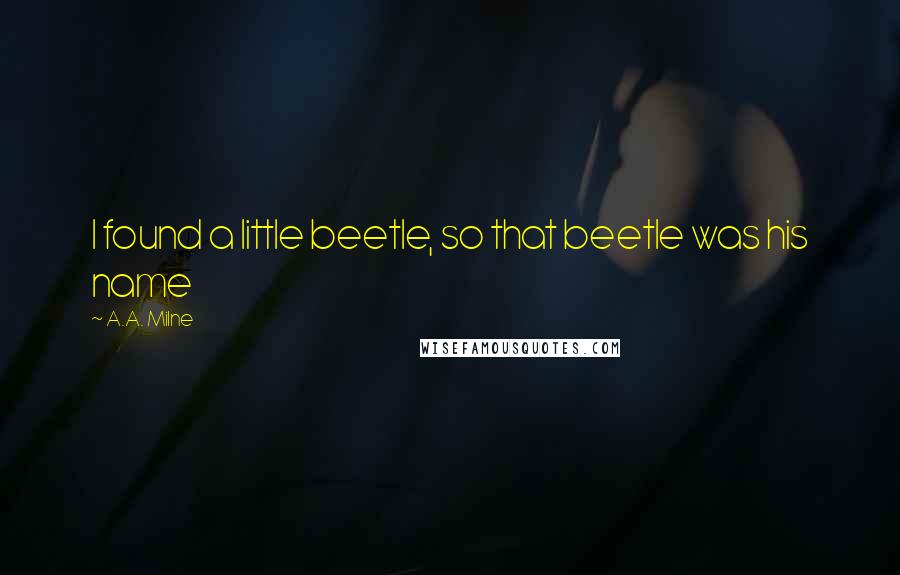 A.A. Milne quotes: I found a little beetle, so that beetle was his name