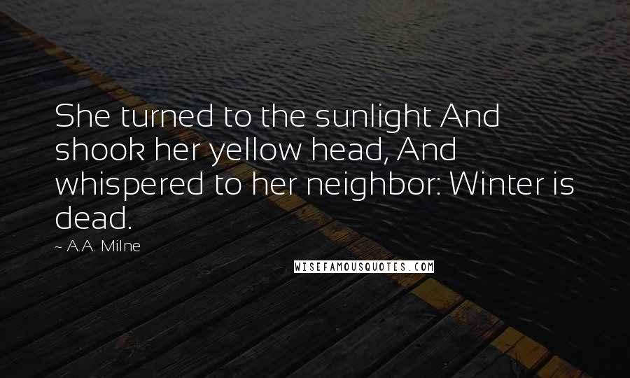 A.A. Milne quotes: She turned to the sunlight And shook her yellow head, And whispered to her neighbor: Winter is dead. A.A. Milne quotes: She turned to the sunlight And shook her yellow head, And whispered to her neighbor: Winter is dead.