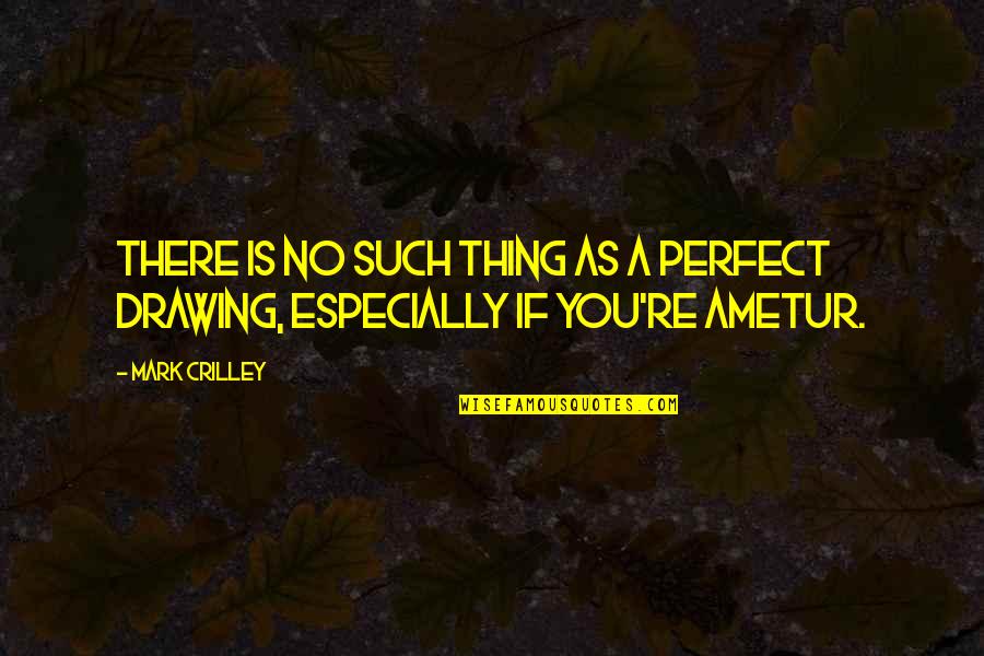 A Anime Quotes By Mark Crilley: There is no such thing as a perfect