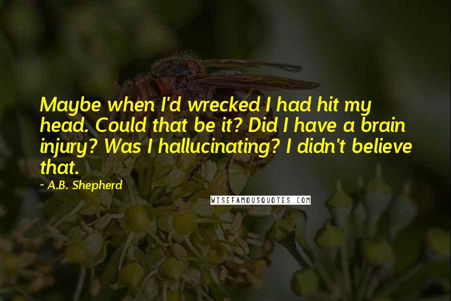 A.B. Shepherd quotes: Maybe when I'd wrecked I had hit my head. Could that be it? Did I have a brain injury? Was I hallucinating? I didn't believe that.
