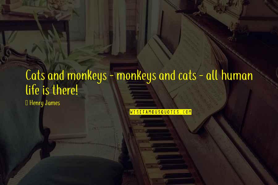 A Baby's Death Quotes By Henry James: Cats and monkeys - monkeys and cats -