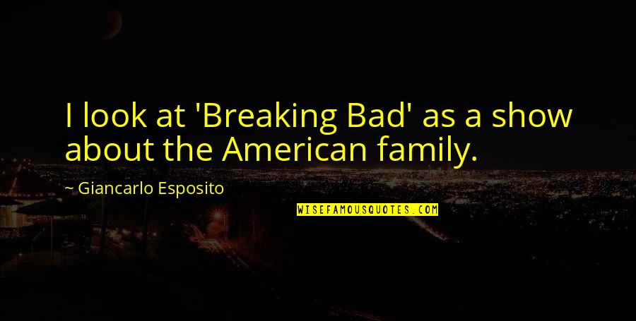 A Bad Family Quotes By Giancarlo Esposito: I look at 'Breaking Bad' as a show